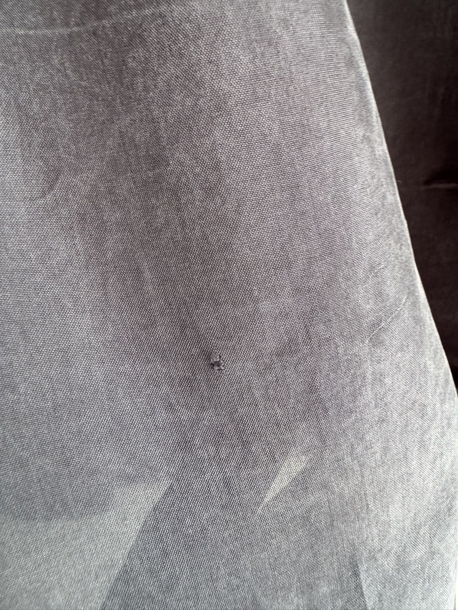 Massimo Dutti Camicette: Massimo Dutti Damenbluse in der Gr. 36 in grau – Usato da Grenchen venduto da servet.t 2
