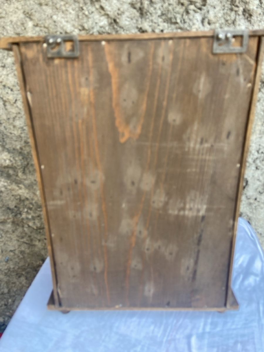 Armadi: Kleines Wandschränkchen Aphothekerschränkchen – Usato da Brienz BE venduto da hey_z9vg 4