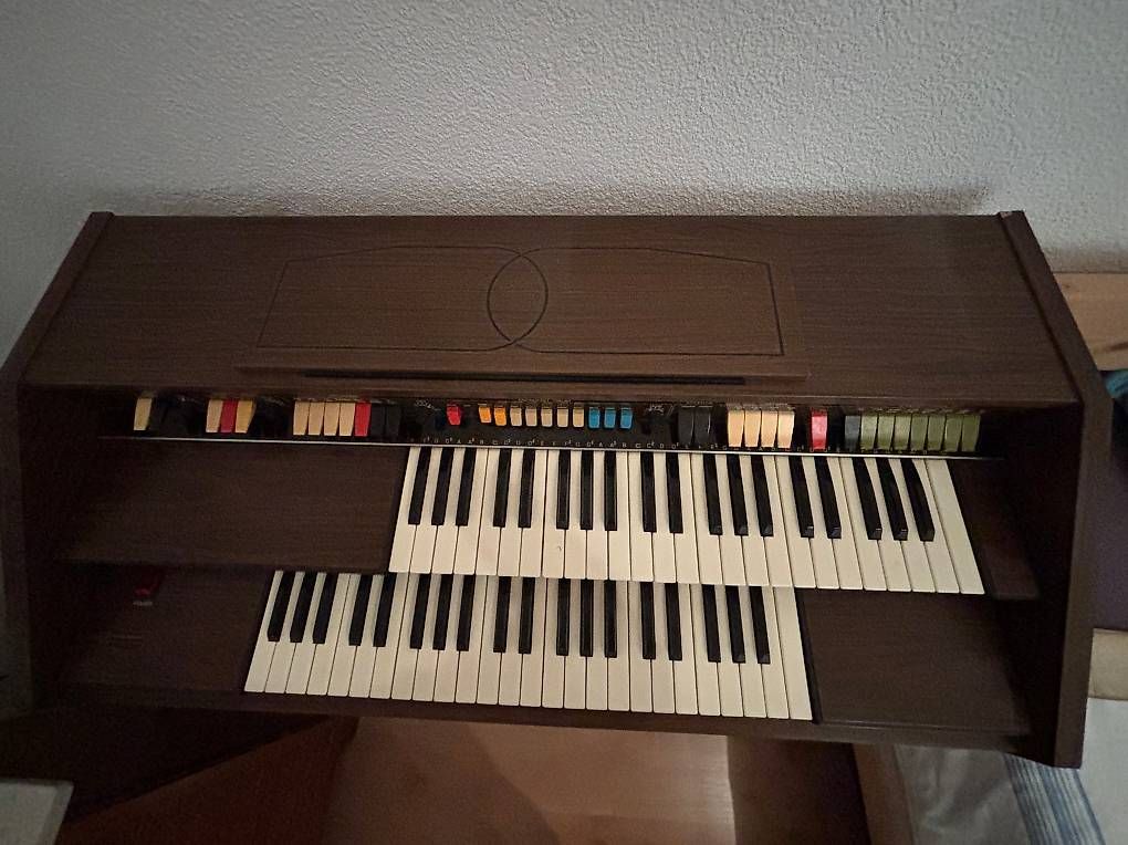 Strumenti musicali: Heimorgel zu verschenken – Usato da Murgenthal venduto da kunzhunz5356 1