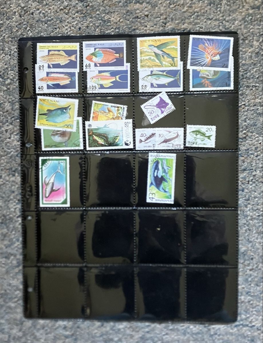 Tutti i francobolli: Briefmarkensammlung mit Fischen – Usato da Lyss venduto da Punktum01 2