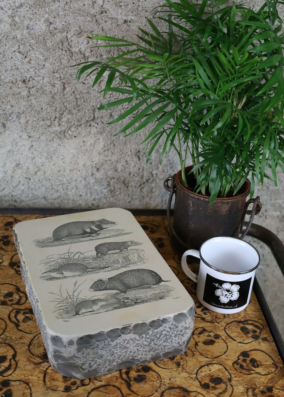 Grafiken & Lithographien: Lithographiestein "Hamster, Schlitzrüssler, Spitzmaus" – Gebraucht aus Birrwil von brandschatz_birrwil 3