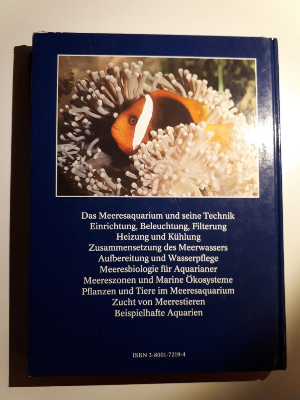 Libri: Meeresaquaristik – Usato da Dietikon venduto da Buchantiqdietikon 1