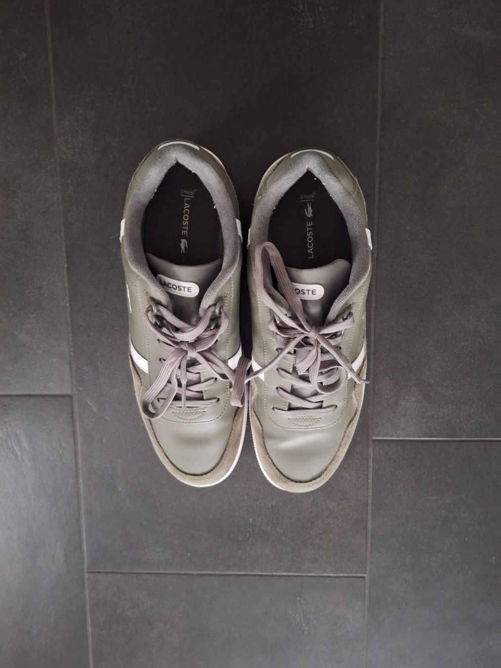 Lacoste Herrenschuhe: Lacoste Gr 46 – Gebraucht aus Sursee von Ventiduese 6