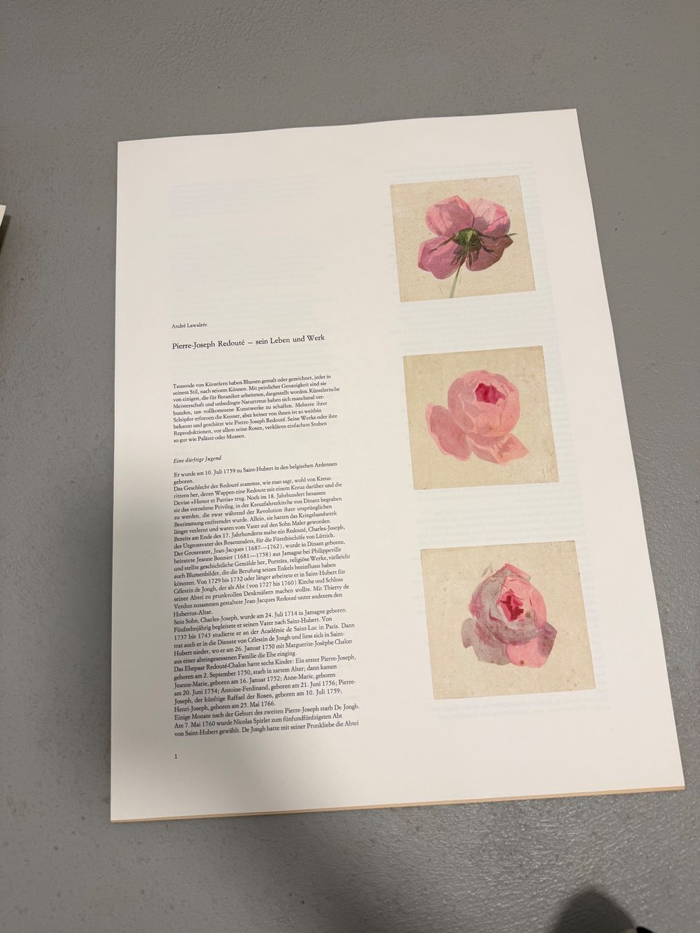 Grafica & Litografie: Pierre Joseph Redouté – Usato da Dielsdorf venduto da BGiezendanner 5