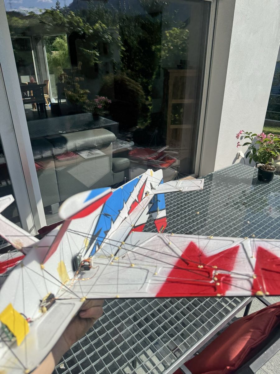 Modellismo RC: Hallenflieger – Usato da Rhäzüns venduto da Dp0 1