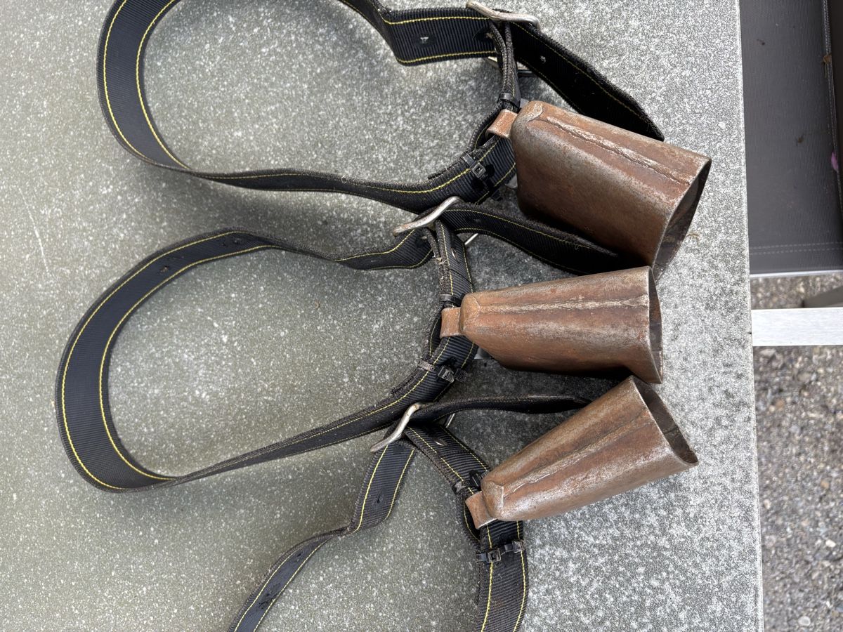 Glocken & Treicheln: 3 Gotthardt NR 3 – Gebraucht aus Schangnau von Roseggli82 7