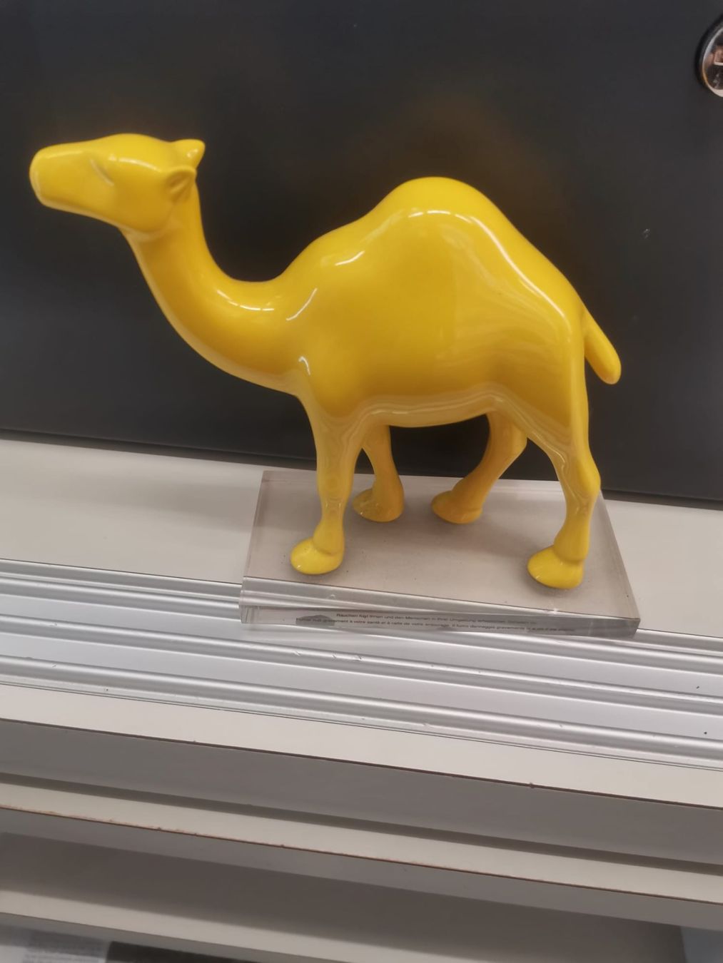 Statuette: CAMEL Icon auf Plexiglassockel Höhe 13 cm – Nuovo (secondo la descrizione) da Allenwinden venduto da Obalu