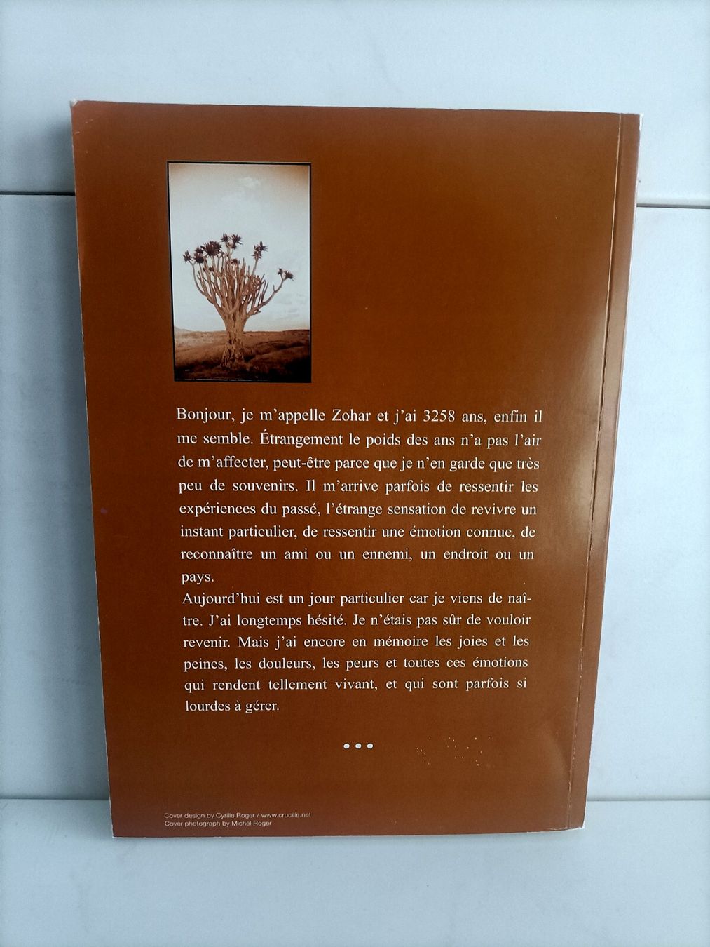 Libri: Le paravent des illusions perdues / Gérard de Combat / Gerde – Usato da crans montana venduto da AB3963 1
