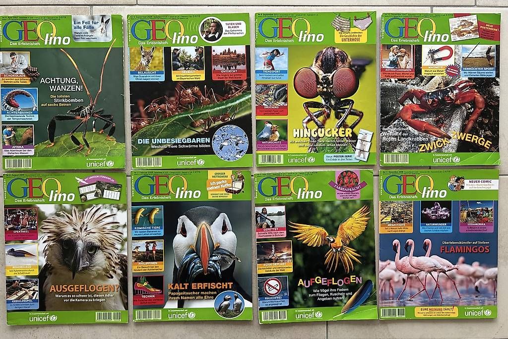 Riviste & Magazine: Geolino – Usato da Schwerzenbach venduto da nic_zt5r 1