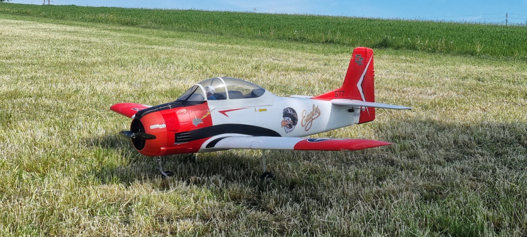 E-Flite Modellismo RC: Eflite Trojan T28 Carbon Z 2m – Usato da Pfeffikon LU venduto da Andy1969