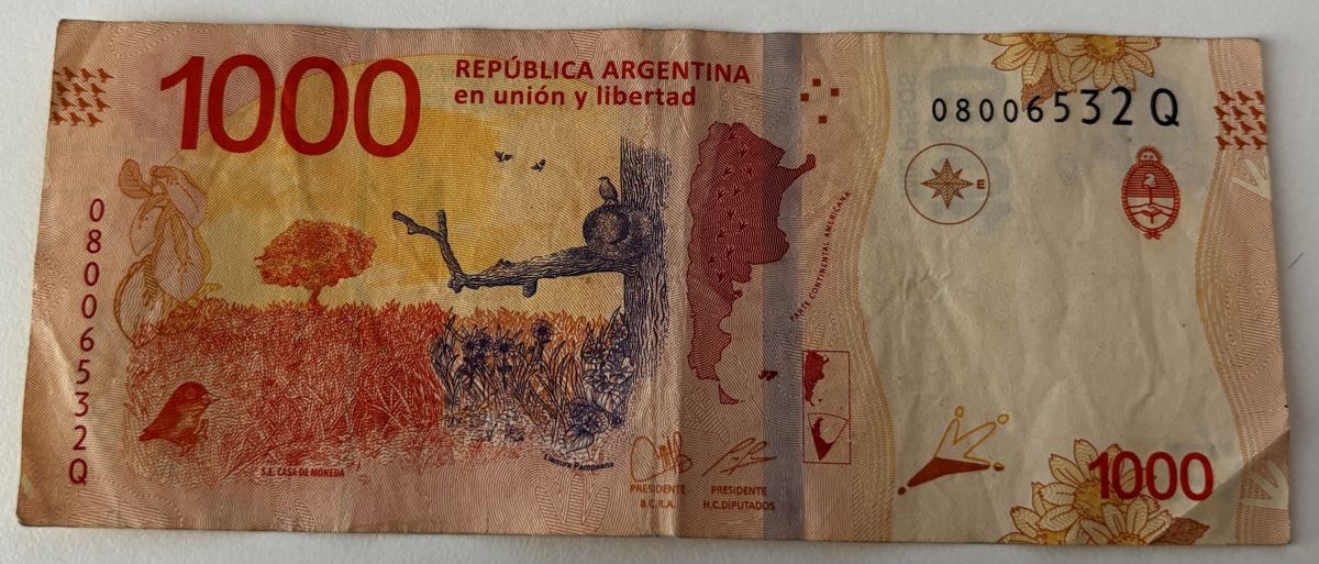 Banconote: Argentinien 1000 Pesos – Usato da Algetshausen venduto da Carrhard 1