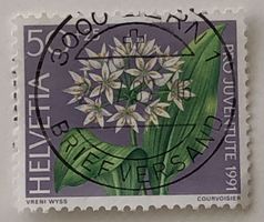 Nr.J 319 mit Vollstempel Bern