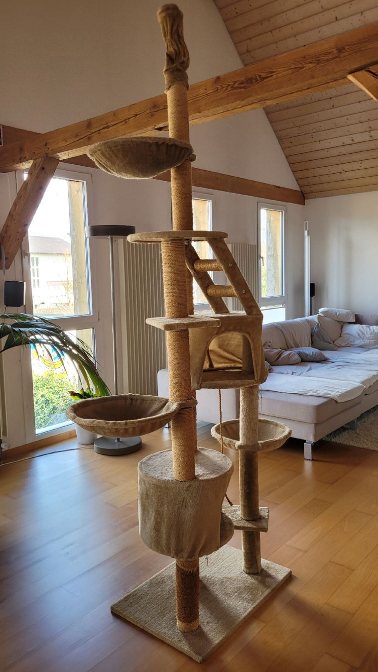 Katzenbaum - Kratzbaum: Grosser Kratzbaum, Beige, Top Zustand! – Gebraucht aus Wangen an der Aare von Manumech 1