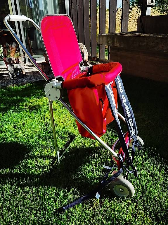 Marsupi portabebè: Porte-bébé dorsal Chicco – Usato da Attalens venduto da Tpluess 1
