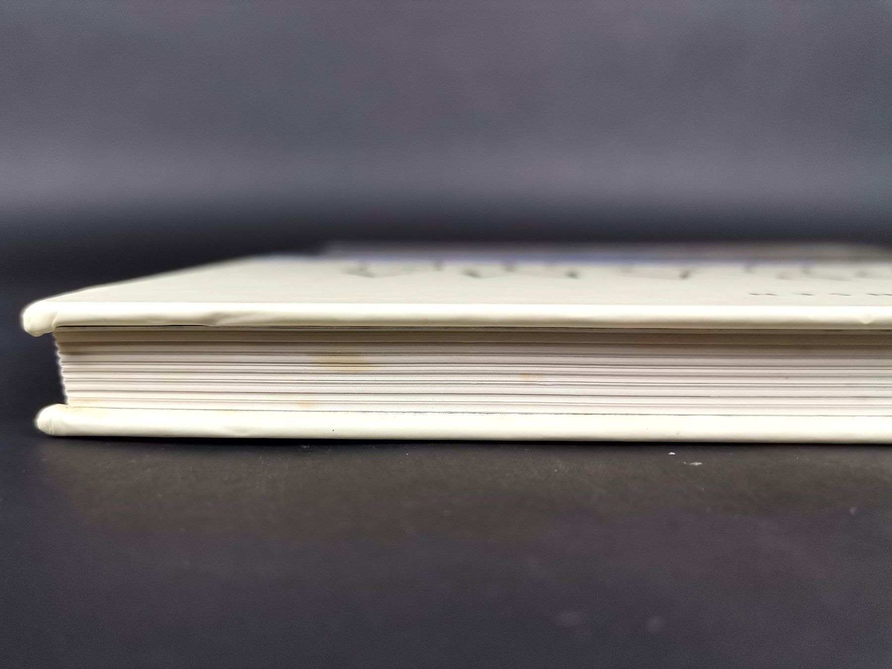 Libri: BUCH Panorama Norwegen – Usato da Schaffhausen venduto da Restwert_SH 4