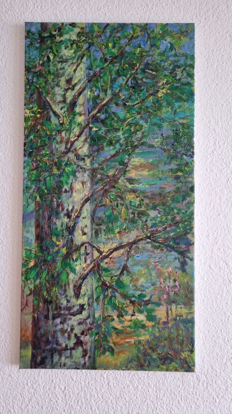 Dipinti: Original: Birke, Öl auf Leinwand, 40x50cm – Nuovo (secondo la descrizione) da Belp venduto da MaSu39