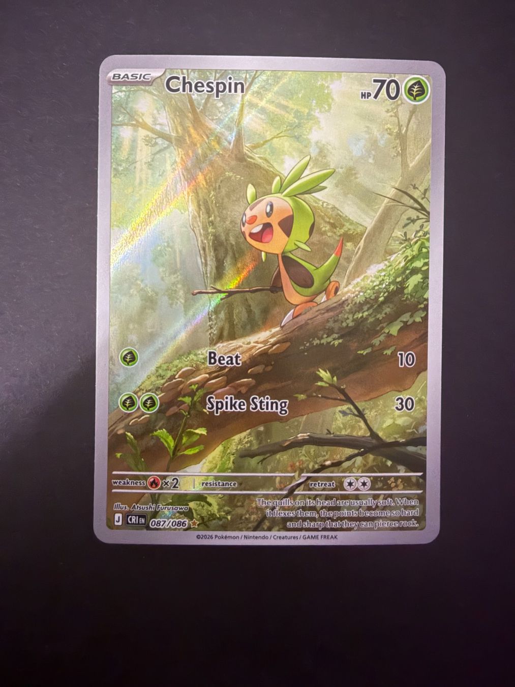 Pokémon Carte collezionabili: Pokemon Chespin 087 AR – Usato da Basel venduto da ray.alround