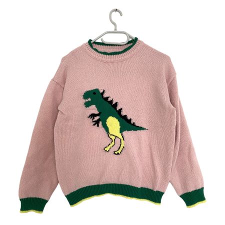 Dino Pullover für Erwachsene