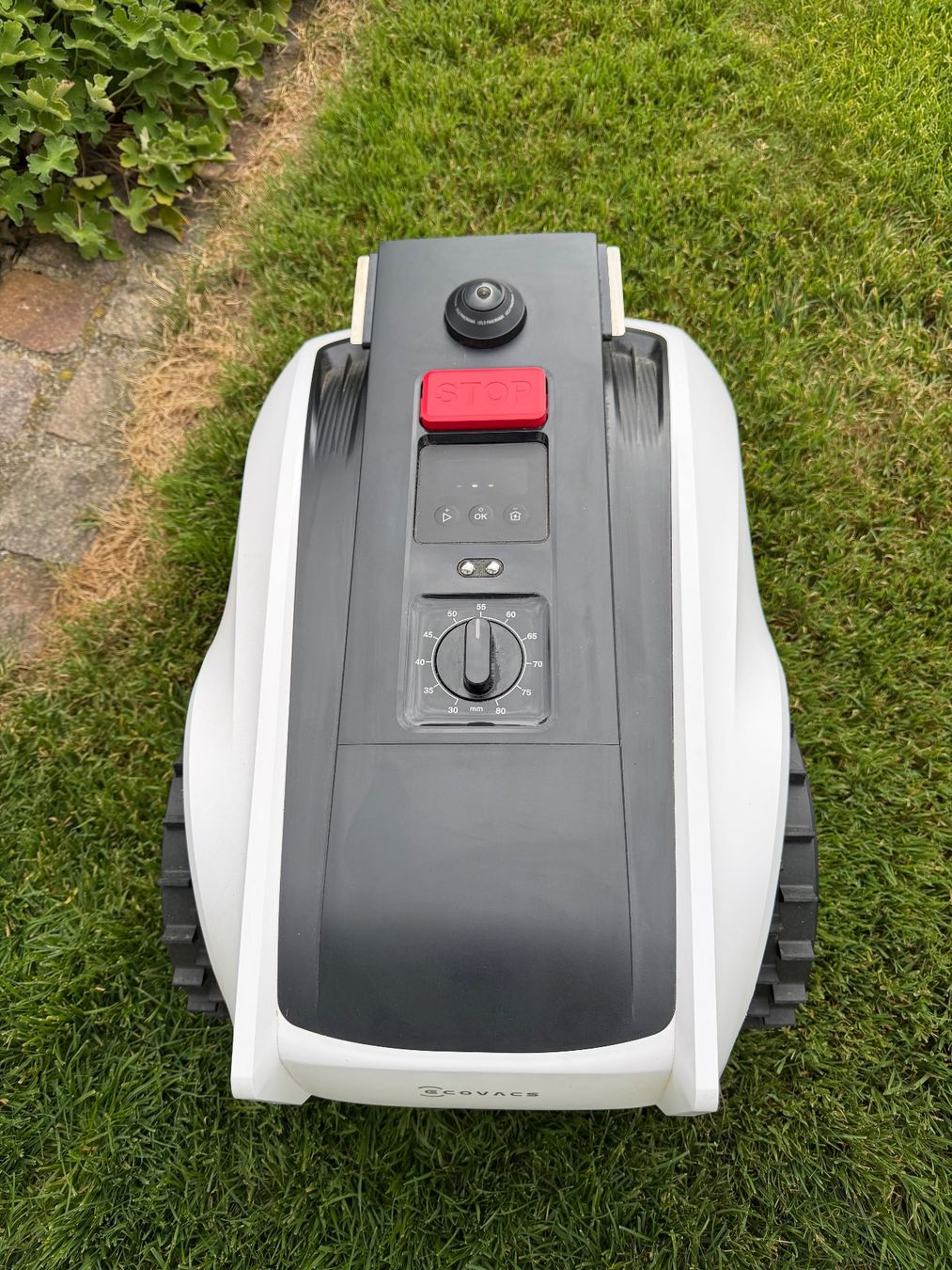 Ecovacs Tondeuses à gazon: Mähroboter Ecovacs GOAT  gebraucht – D'occasion à Gutenswil par rgn_65ys 3