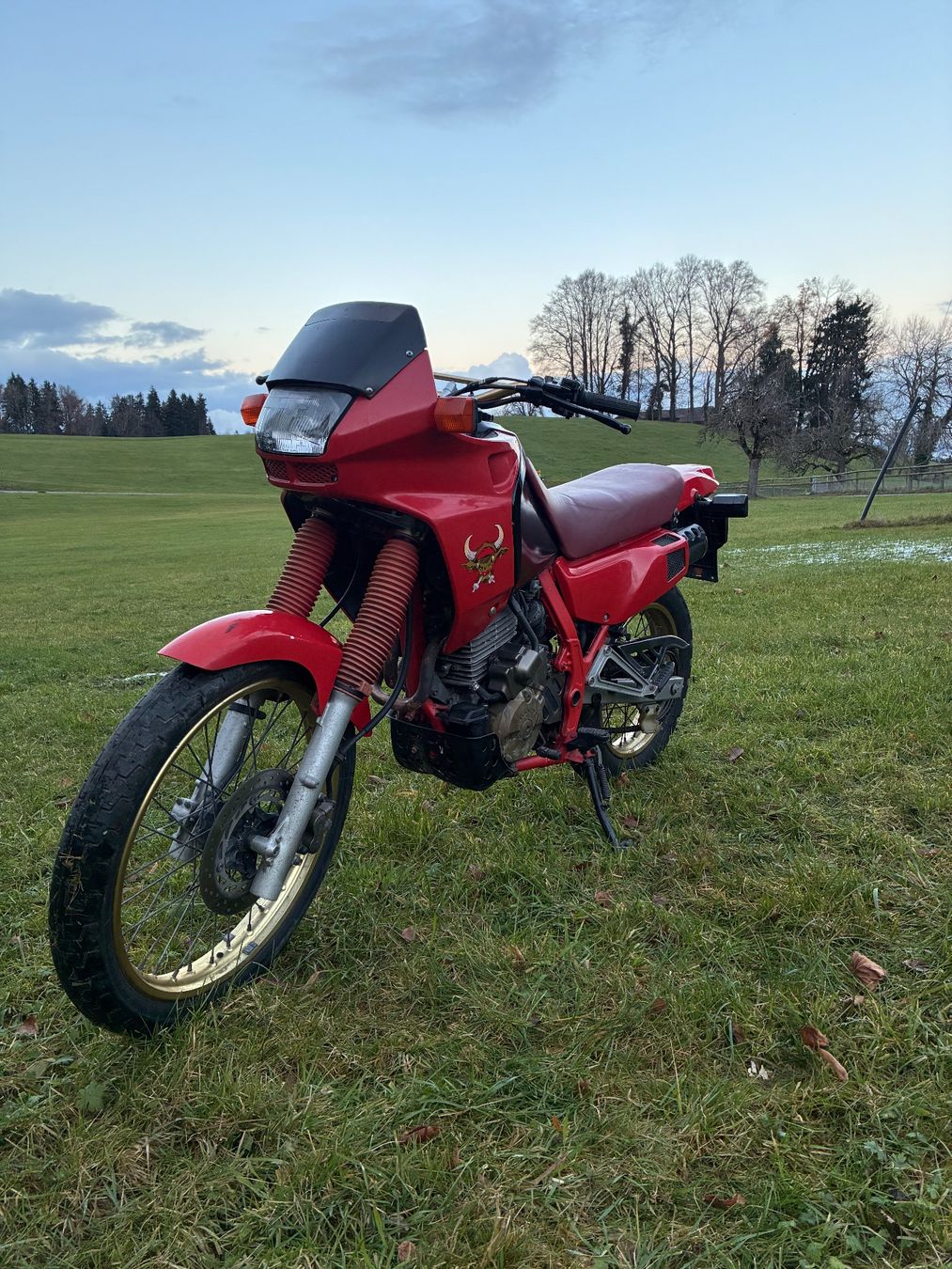 Honda Enduro: Honda Dominator 650 ccm – Usato da St. Gallen venduto da MarkoBoss