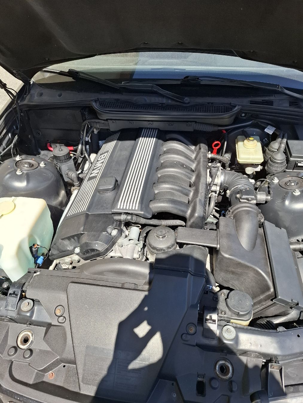BMW Autos: BMW 323ti Compact E36 – Gebraucht aus Vouvry von kevbstodyx 5