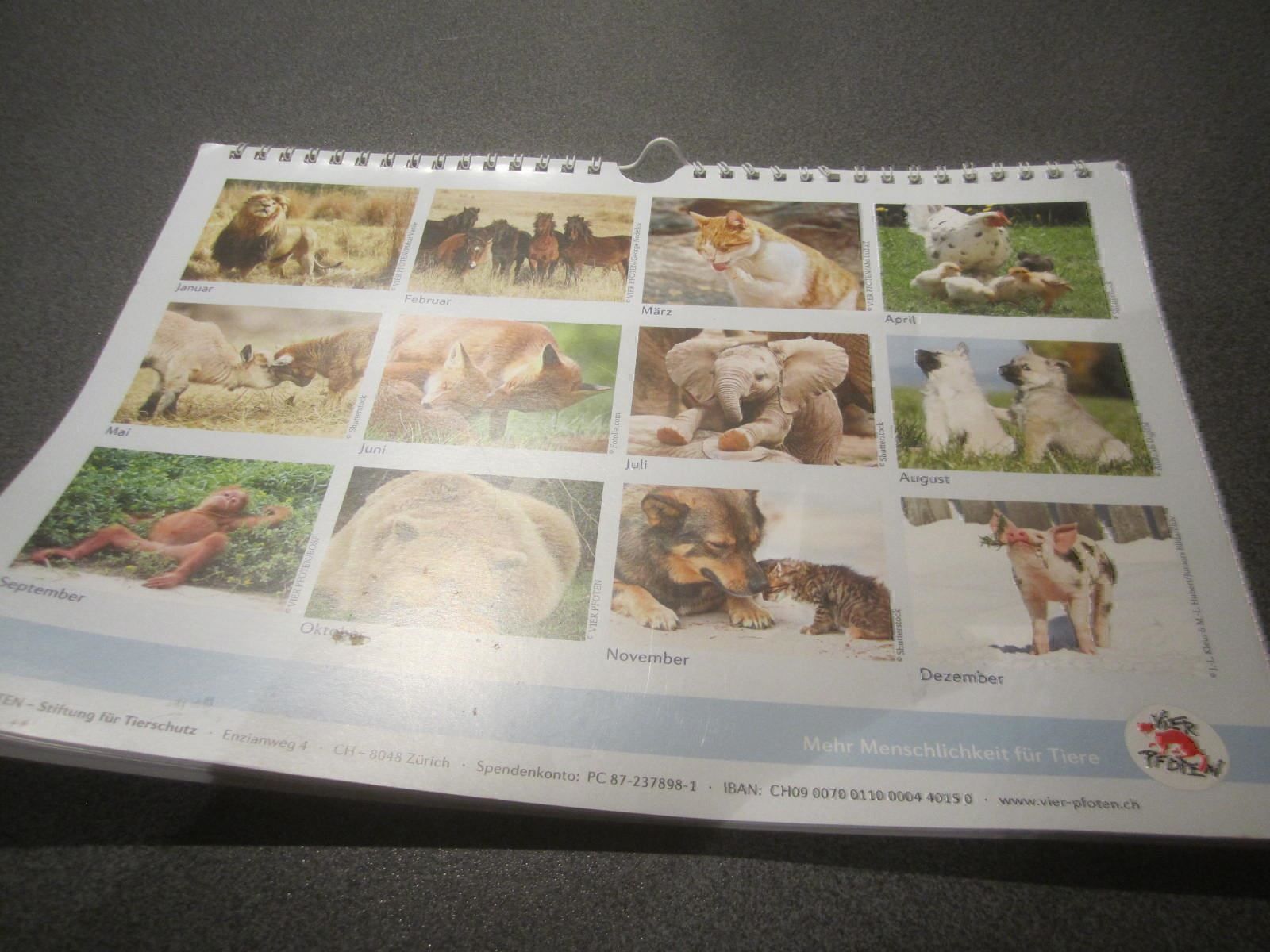 Calendriers: Tierbilderkalender 2016 – D'occasion à Zürich par Motzkuh 2