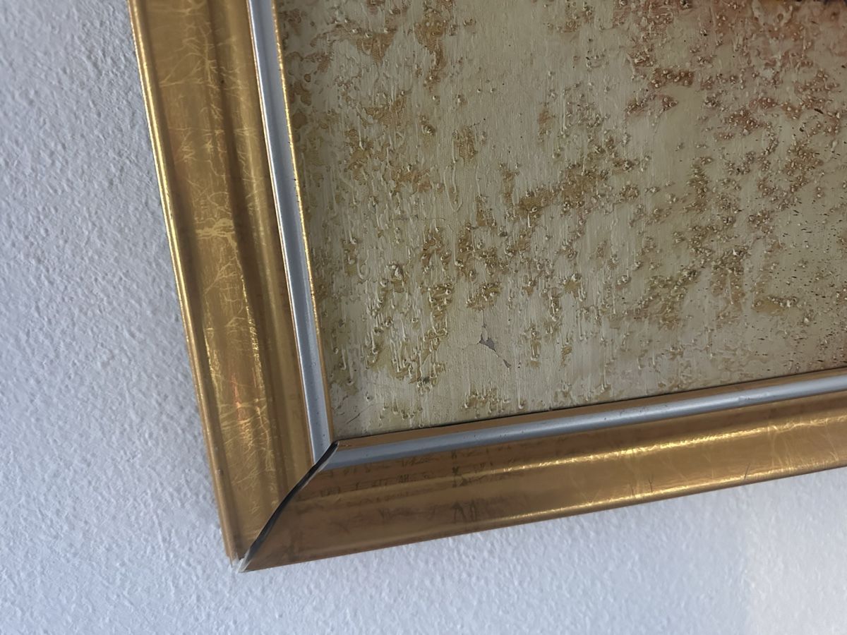 Tableaux: Gemälde Bild – D'occasion à Dietikon par moradi24 4