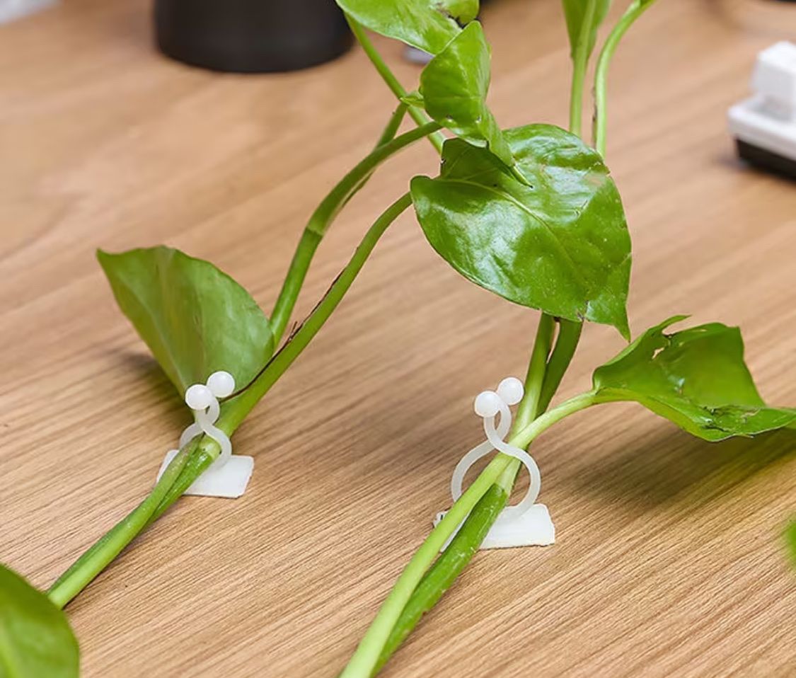 Supporti a parete: Pflanzen Clips selbstklebend, 33 Stk. – Nuovo (secondo la descrizione) da Rüfenacht BE venduto da Edinas_shop