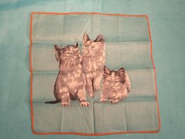 Taschentuch, drei Katzen, türkis
