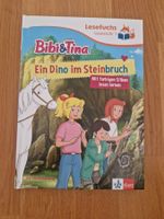 Neu Bibi & Tina Lesefuchs Lesestufe 1 Ein Dino im Steinbruch