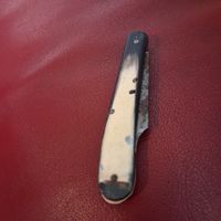 Taschenmesser mit Horneschale, älteres Modell, Sammlerstück