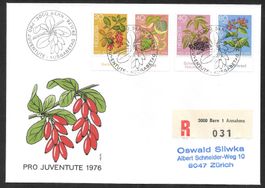 R-FDC Pro Juventute Serie 1976 ET Bern 29.11.1976 mit Tabs