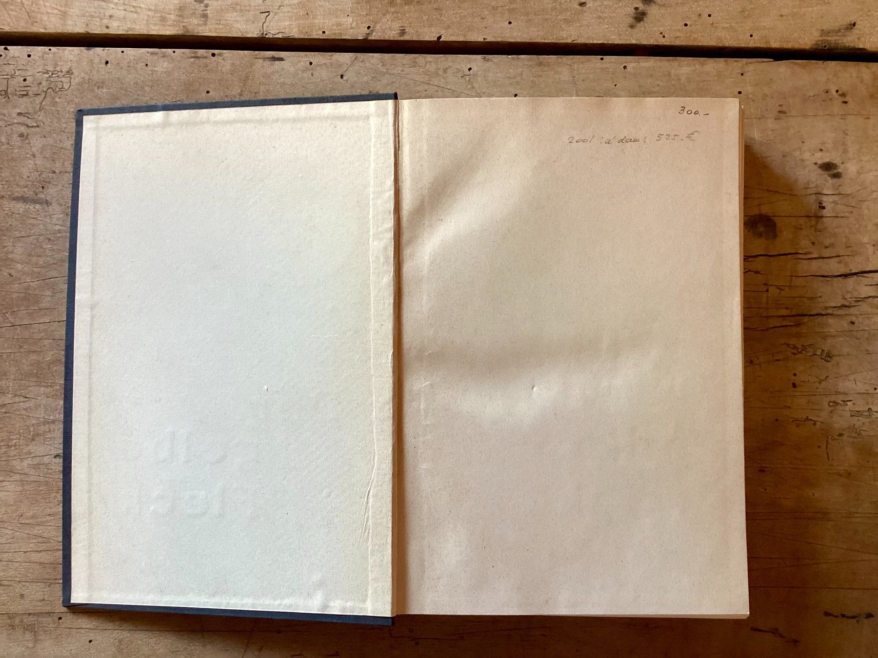 Bücher: Der gelbe Fleck, Feuchtwanger, Antisemitismus, Judaica – Gebraucht aus Ronco sopra Ascona von R66sA22 1