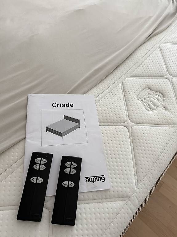 Letti: Luxus Auping Boxspringbett Criade mit 2 Motoren Leder – Usato da Zug venduto da mel_kyra 3
