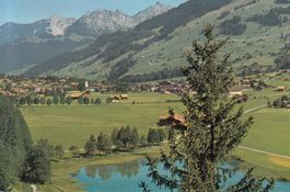 Lenk 1965