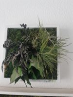 Echtmoosbild im Rahmen von StyleGreen