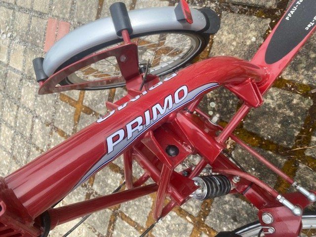 Velos: Senioren E-Tribike PFAU-TEC Primo – Gebraucht aus Rekingen AG von witch52 2