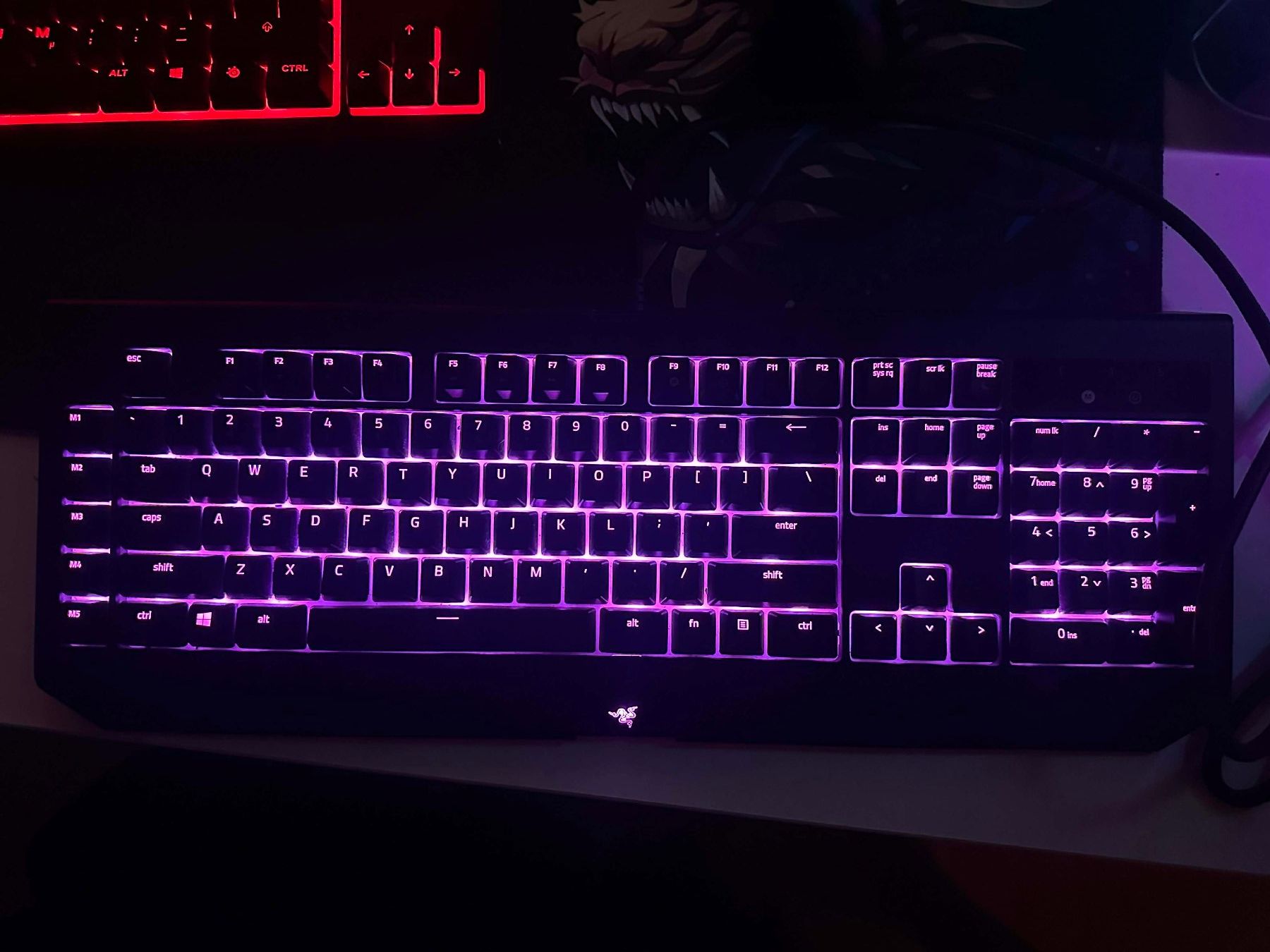 Tastiere: Razer Blackwidow V2 Chroma / Green Switches – Usato da Schaffhausen venduto da ski_s2bf 2