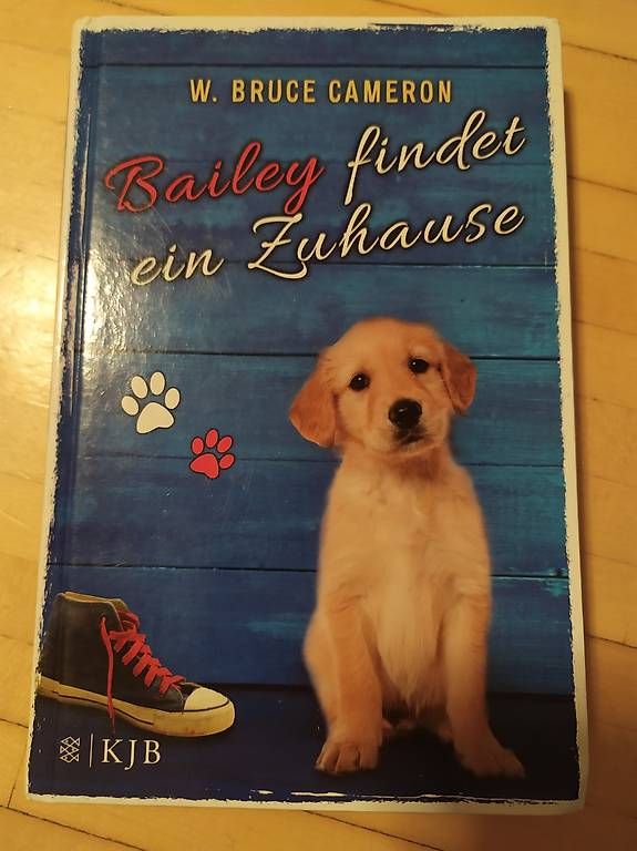 Libri: Kinderbuch Bailey findet ein Zuhause – Usato da Egg b. Zürich venduto da nad_5lzr