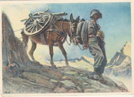 Geb. Art. Radtier von E. Hugentobler