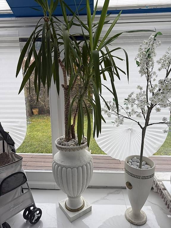 Vasi & Recipienti: pflanze mit römervase  – Usato da Adligenswil venduto da balboa5 1