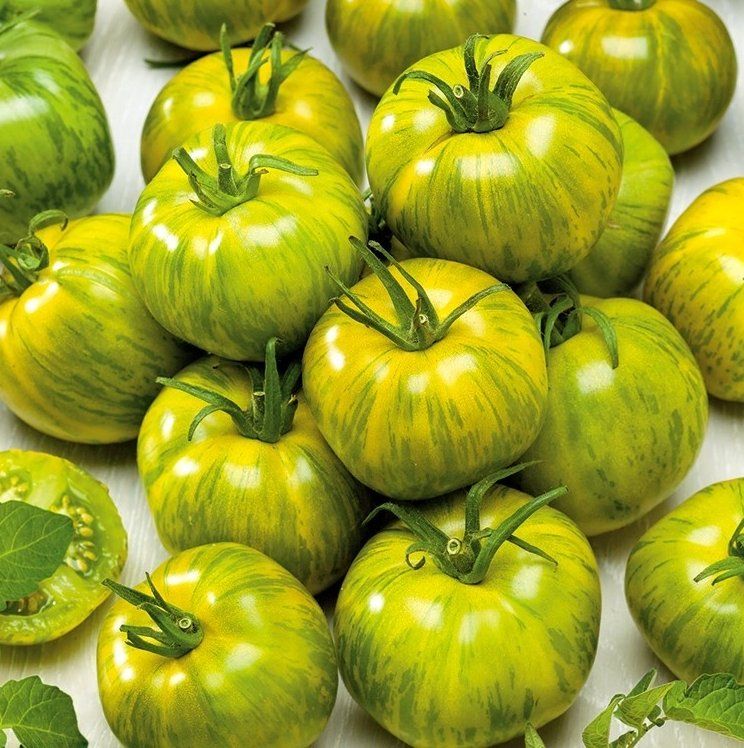 Piante & sementi: TOMATE Smarald  / 5 Samen – Nuovo (secondo la descrizione) da Hinteregg venduto da ERFOLG78 1