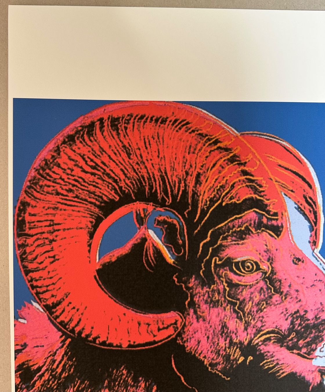 Foto & Immagini: Andy Warhol: Big Horn, POP Art 49/100 – Nuovo (secondo la descrizione) da Meilen venduto da Smgdesign 3