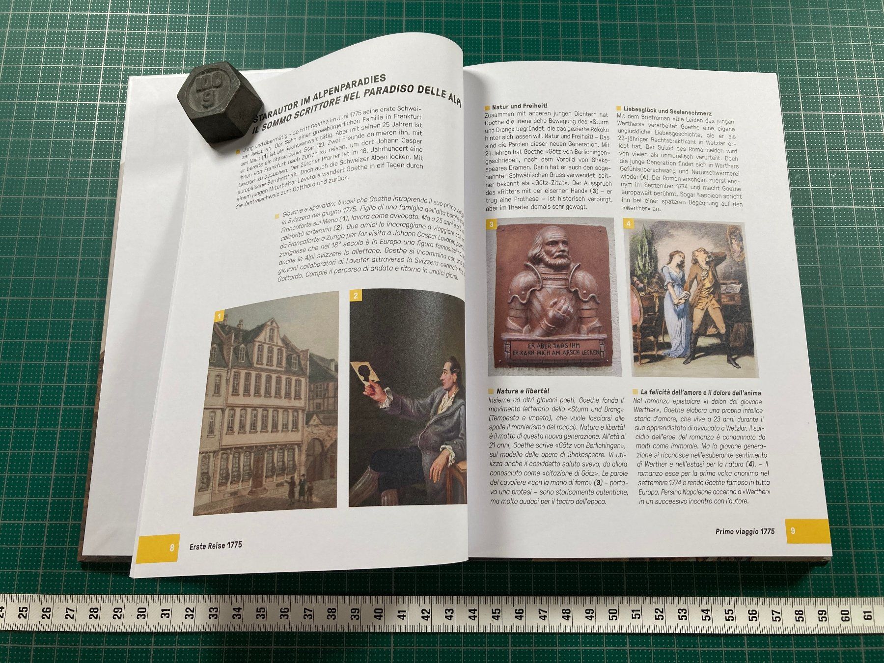 Bücher: Goethe am Gotthard - Museo Sasso San Gottardo – Gebraucht aus Lenzburg von fh1 4