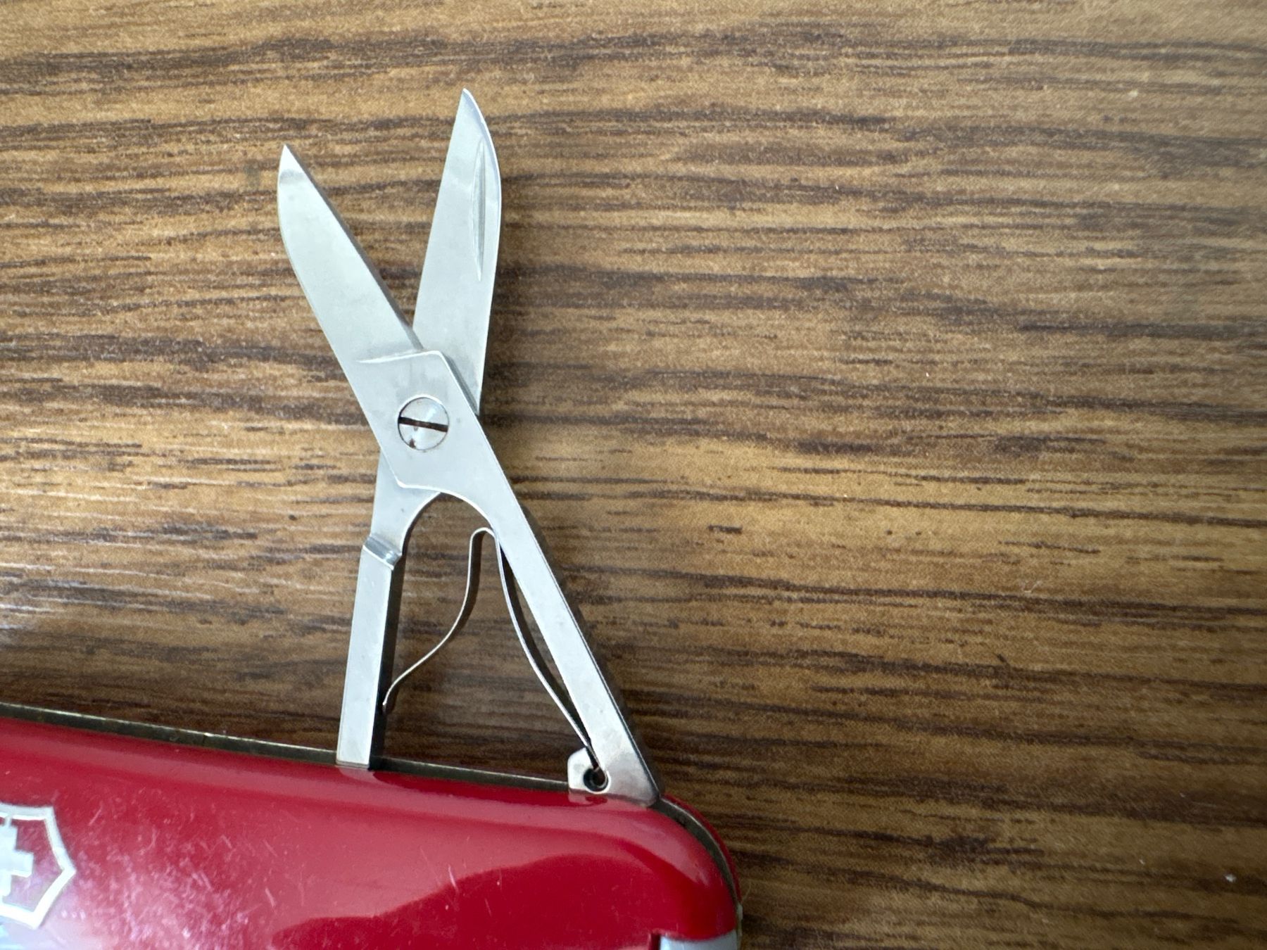 Victorinox Coltelli tascabile: VICTORINOX - Classic - Sackmesser - ROCHE – Usato da Andwil SG venduto da Rainboli 5