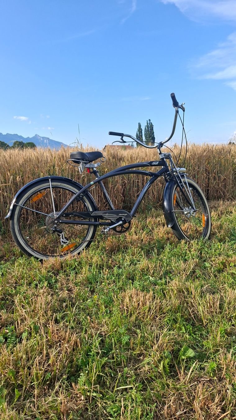 Felt Velos: Velo Felt Heritage Cruiser – Gebraucht aus Buchs SG von jon_n5w5 1