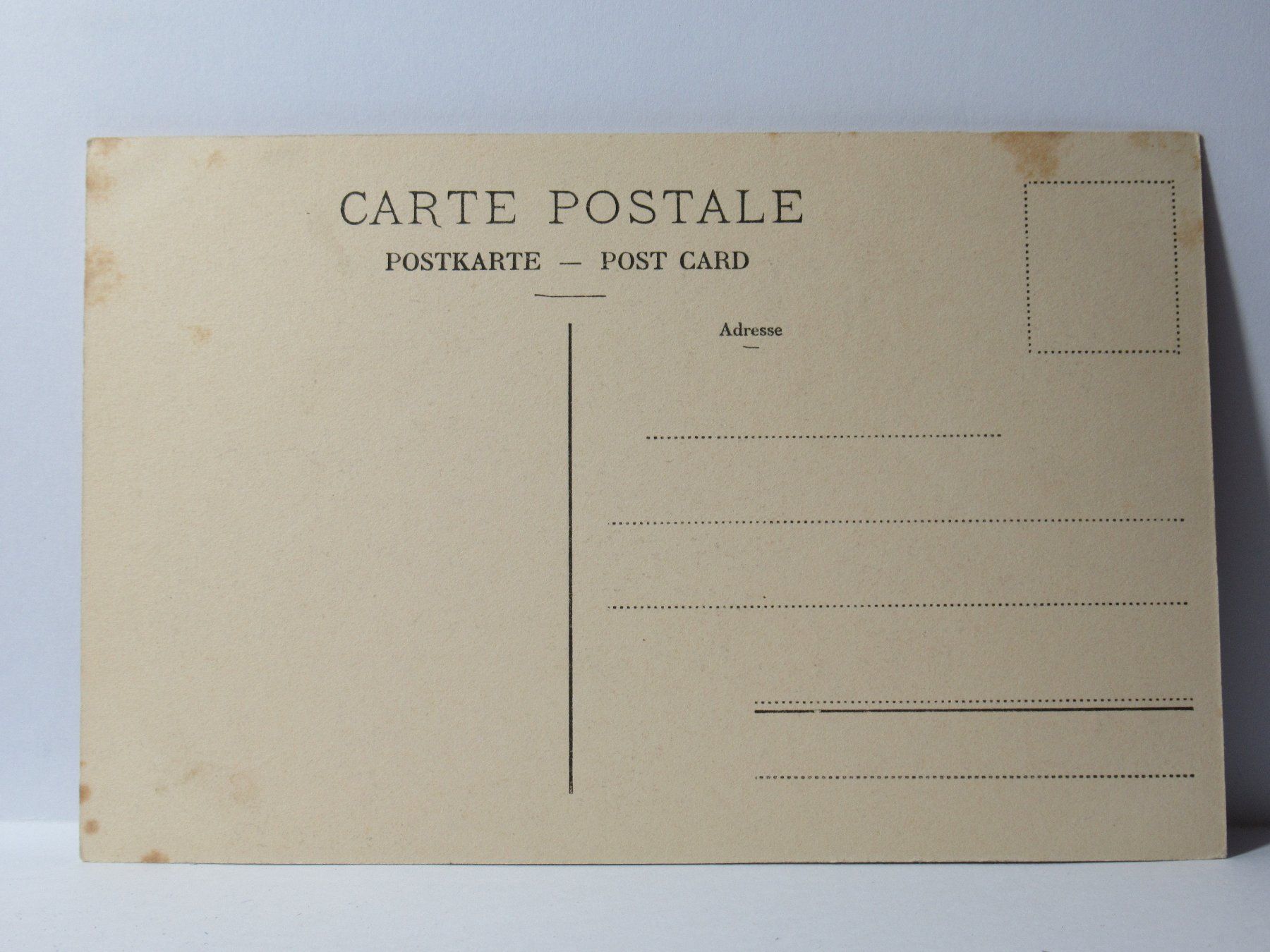 Cartes postales: Chillon et la Dent du Midi – Neuf (Voir description) à Grenchen par Bluemchen1900 1