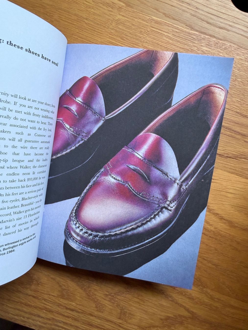 Libri: The Ivy Book, 2010 – Usato da Bern venduto da ElevenFive 3