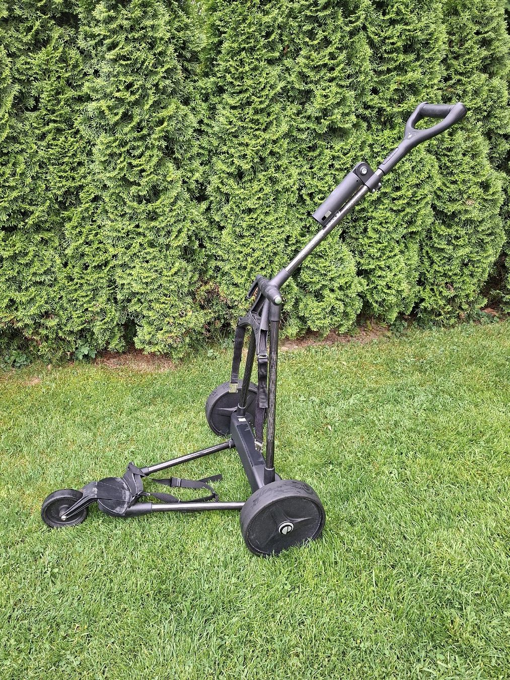 Trolley: Emotion Elektro Trolley (Caddy) – Usato da Gümligen venduto da V10-Shop 1
