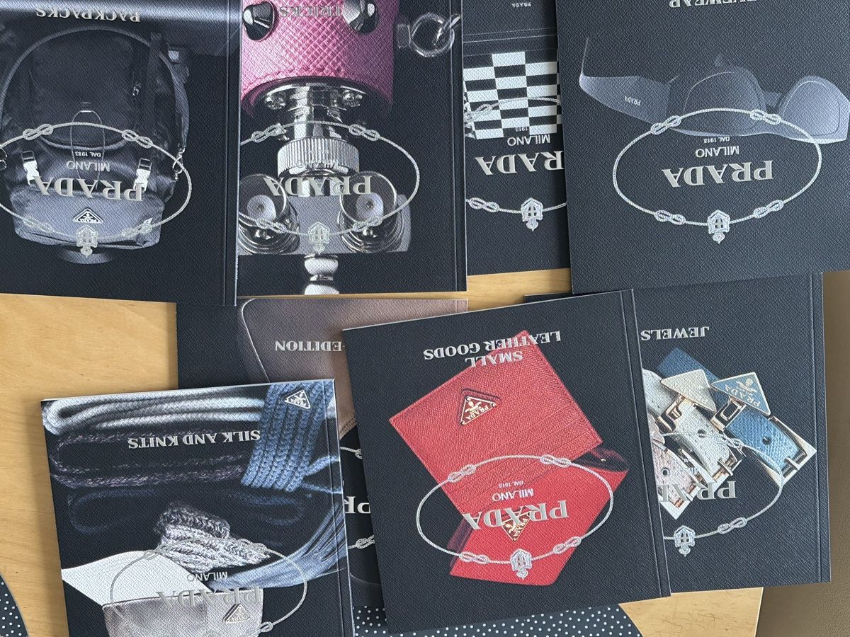 Libri: Catalogues Prada cadeaux 2025 collector – Nuovo e nell'imballaggio originale da Chêne Bourg venduto da paleios22 6